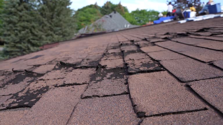 Best Asphalt Shingle Roofing  in Douglas, GA