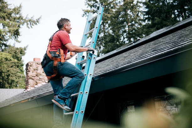 Best Steel Roofing  in Douglas, GA