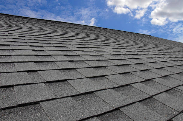 Best Gutter Installation and Repair  in Douglas, GA